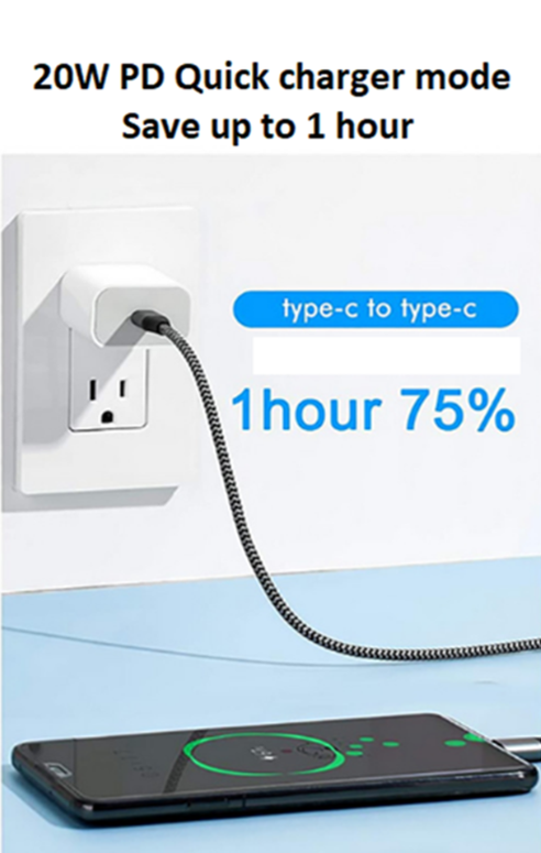 Fast Charging Wall Charger (PD 20W) + Type C to Type C Charging Cable - 1m